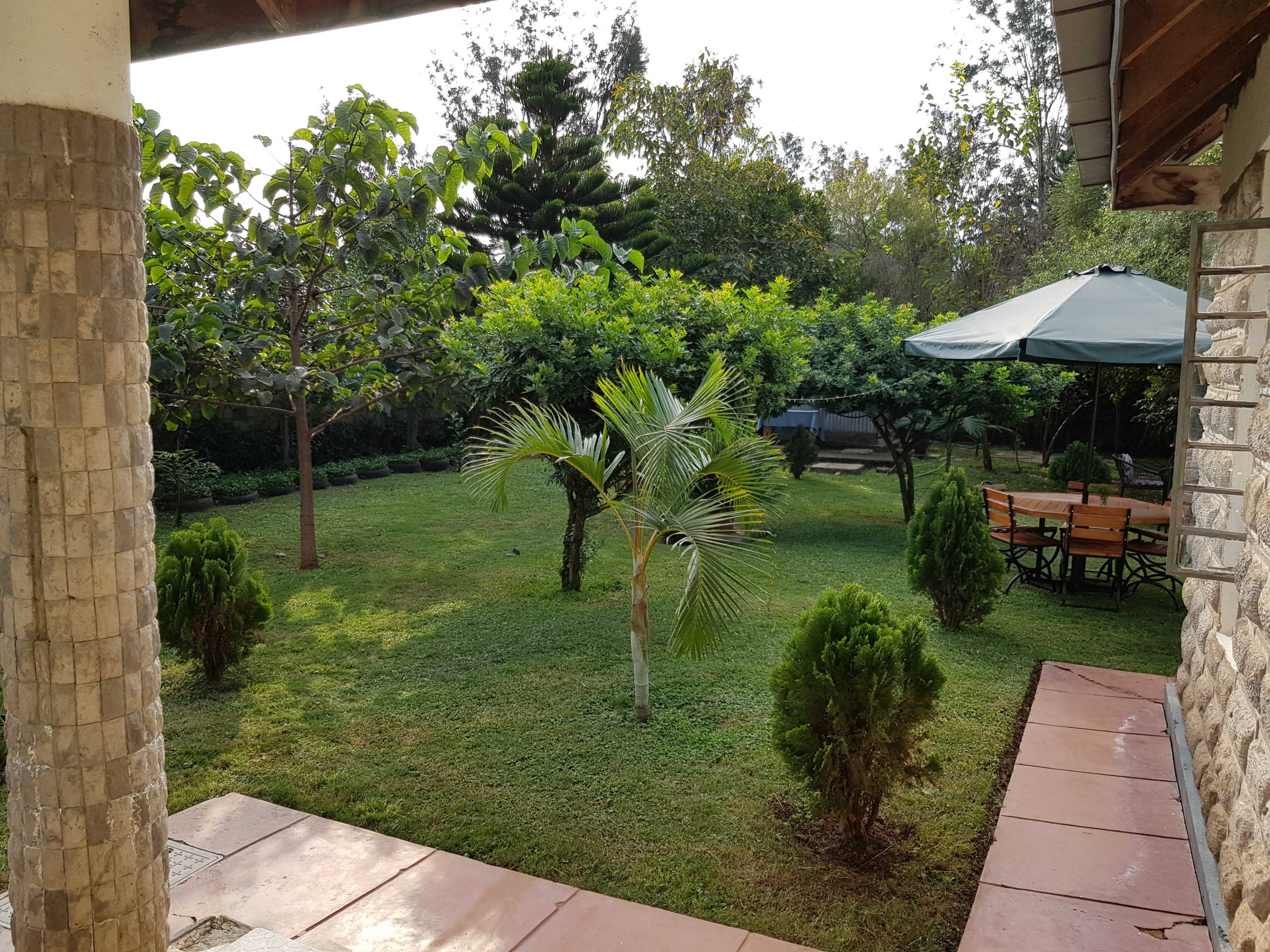 Another view on Teresita's garden